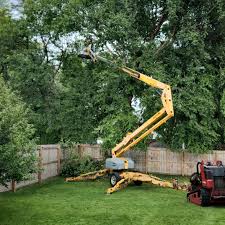 Best Palm Tree Trimming  in Granger, TX